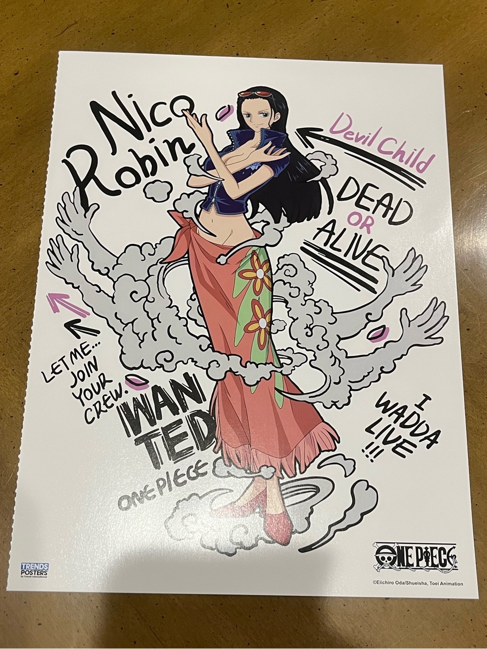 One Piece Nico Robin Devil Child Waifu Anime Official Wall Poster Trends Posters